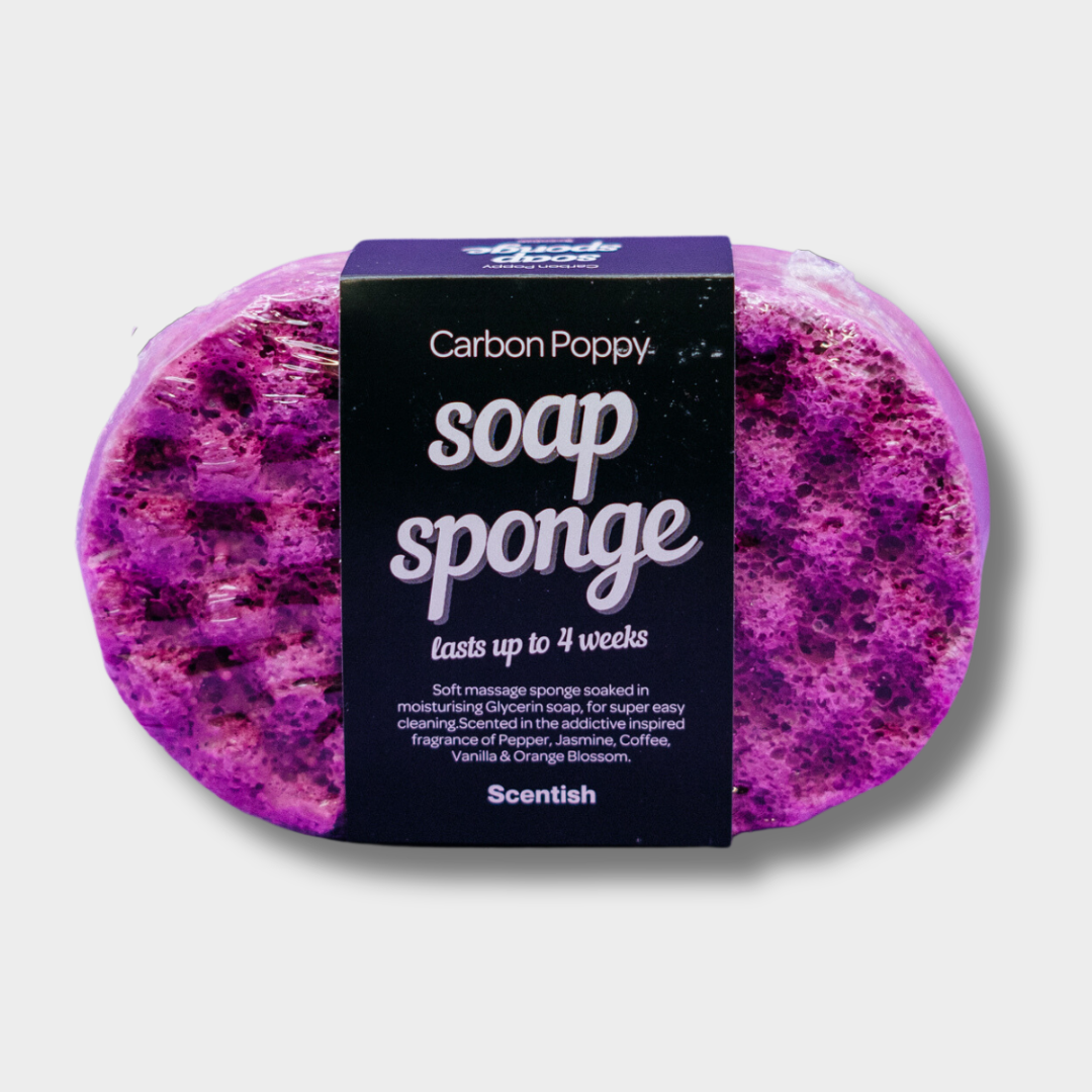 SOAP SPONGES