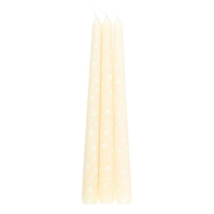 Set of 3 Carrot Patch White Daisy Taper Candles