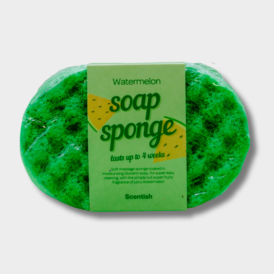 Watermelon Soap Sponge